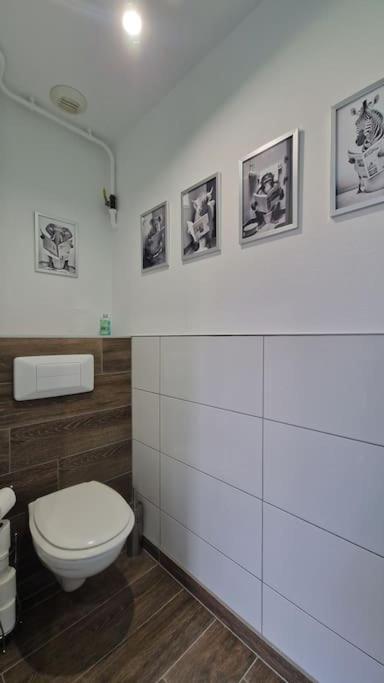 Apartamento Modern Jungle - Colmar Exterior foto